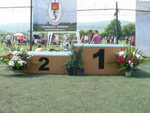 P1090904
