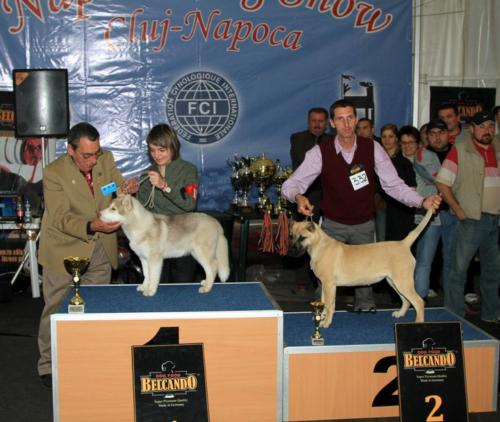best baby in show 02
