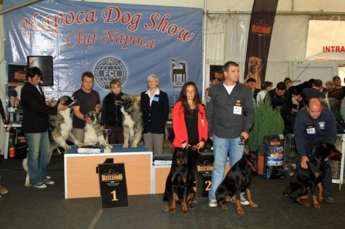 best breeding group 02