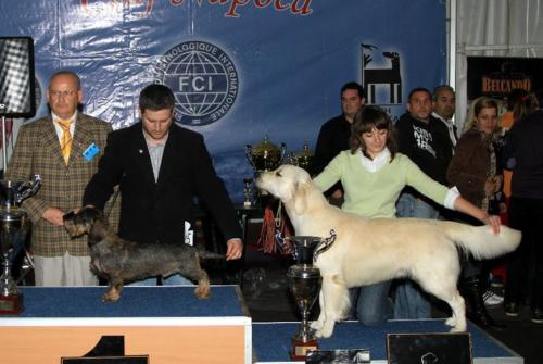 best in show 02