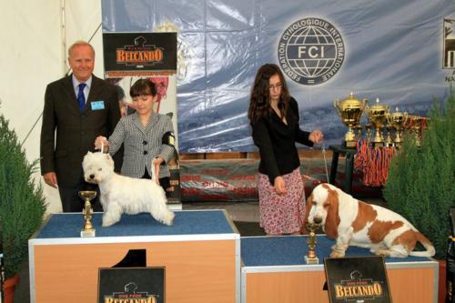 best junior handler