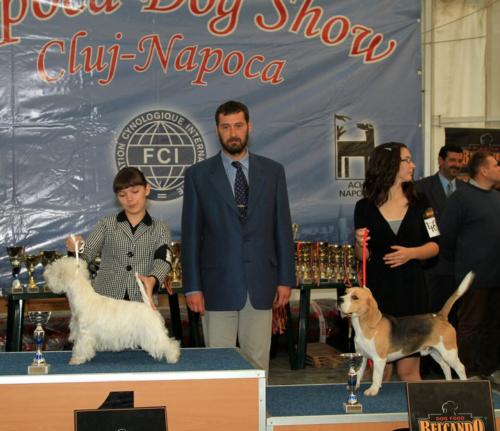 best junior handler 02