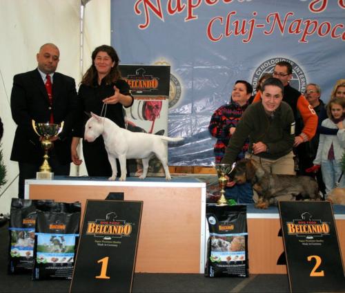 best junior in show