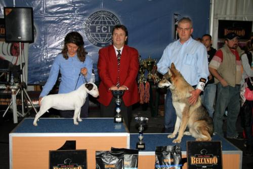 best junior in show 02