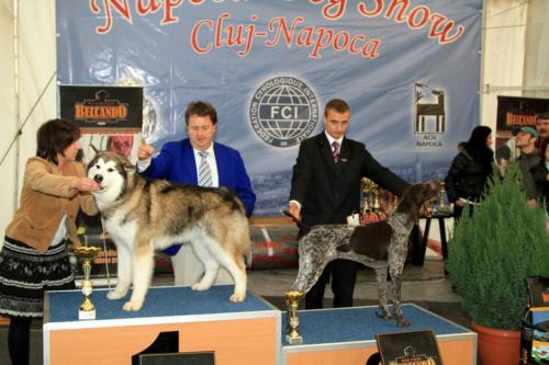 best puppy in show