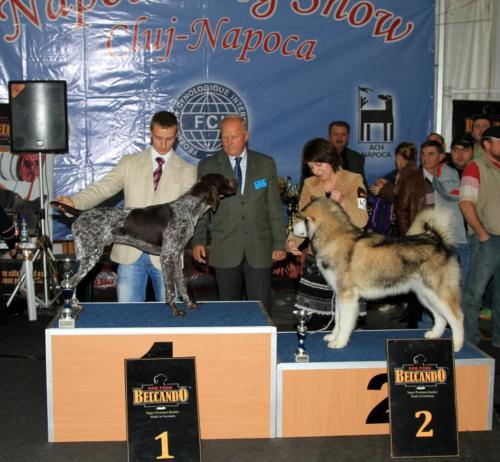 best puppy in show 02