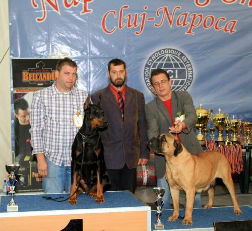 best veteran in show
