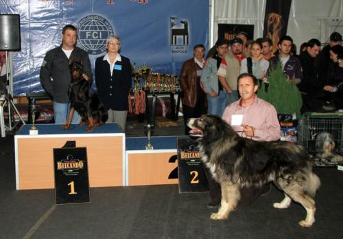 best veteran in show 02